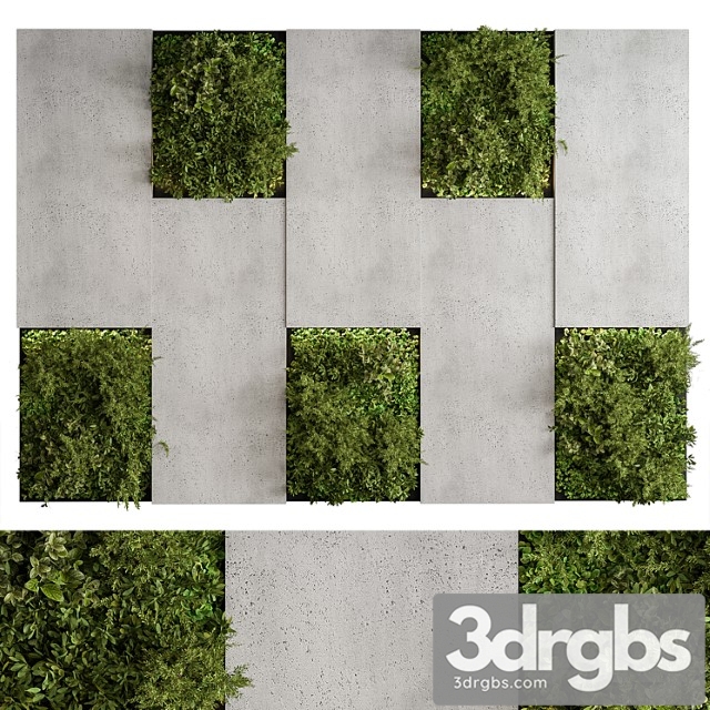 Vertical garden - green wall 77