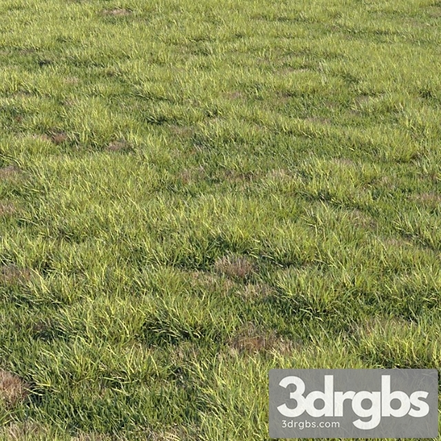 Grass kit 2