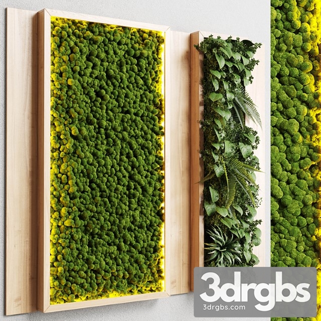 Wall Garden And Vertical Moss In Wooden Frame 22 1