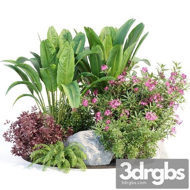 Outdoor garden plants collection vol 136