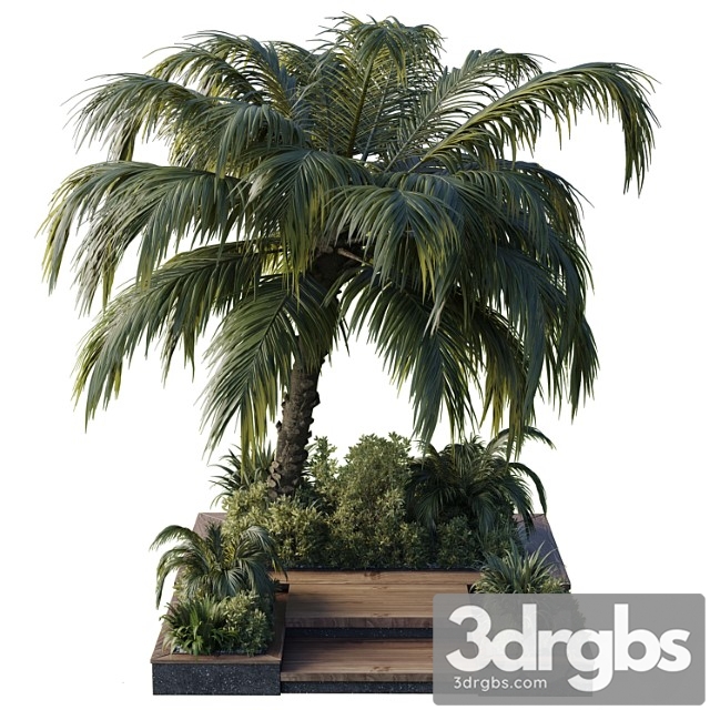 Garden Pot Tree Palm Bush Fern Grass Concrete Base Collection Outdoor Plant 102