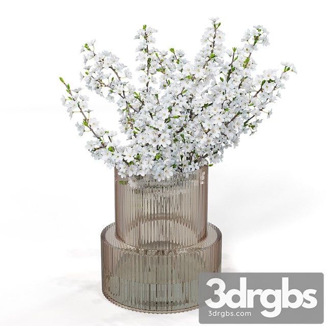 Bouquet of plum blossoms in a vase h&m