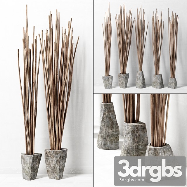 decor of branches in vases