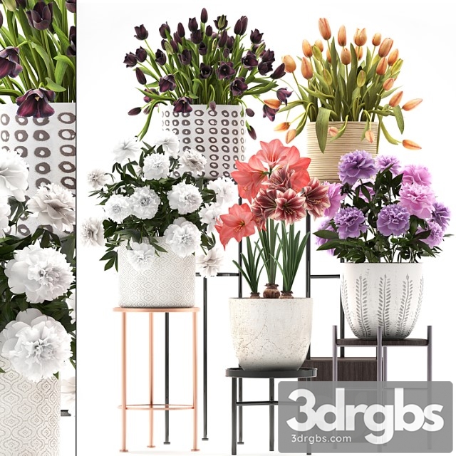 335 plant collection. stand, peony, tulip, hippeastrum, bouquet set, garden flowers, flower shelf, stand, scandinavian style