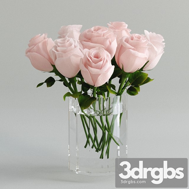 Light pink roses in a vase