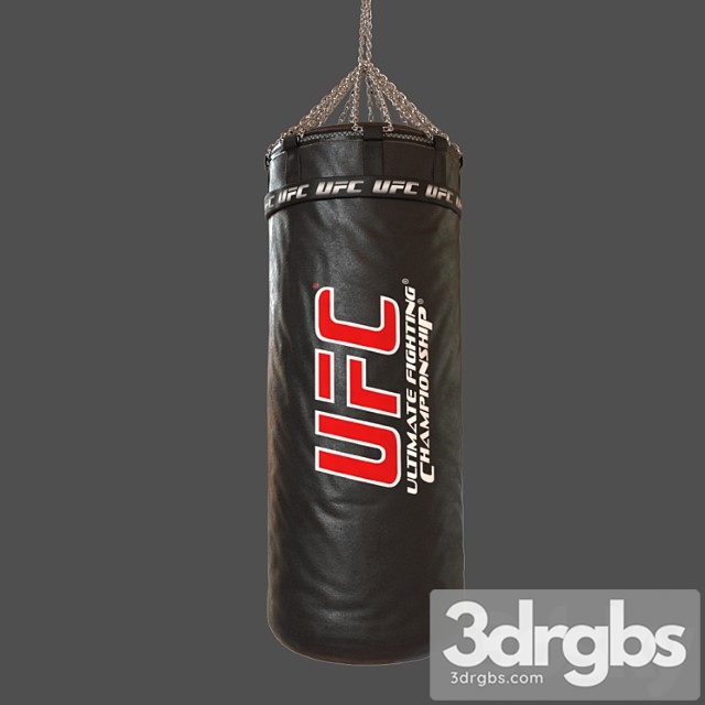 Ufc boxing bag