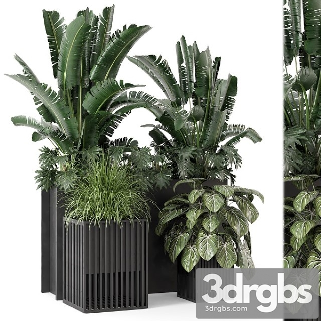 Outdoor Plants Bush in Metal Pot Set 1074