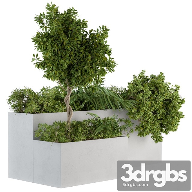 Outdoor Plants Concrete Box Set 45