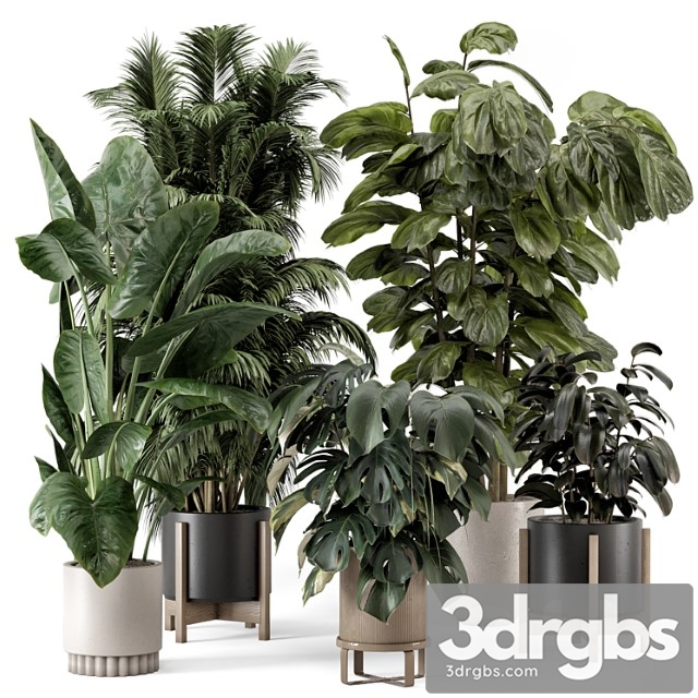 Indoor Plants in Ferm Living Bau Pot Large Set 1361