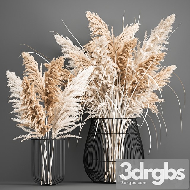 A lush bouquet of dried flowers in a basket with pampas, pampas grass, cortaderia, a branch. 192.