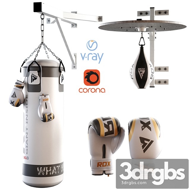 Set Punching Bag and Gloves From Rox 2