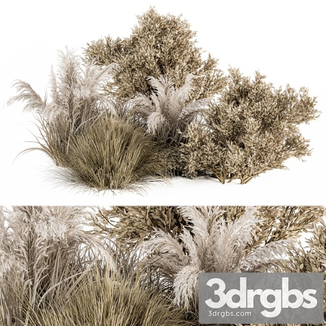 Dried wild plants bush - bush set 36