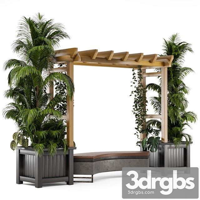 Outdoor plants on pergola - garden set 138