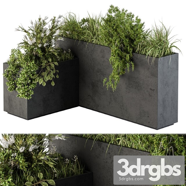 Outdoor plant set 248 - plant l type box