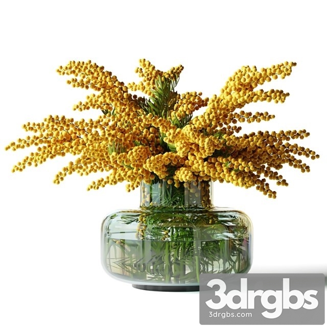 Mimosa In A Low Glass Vase