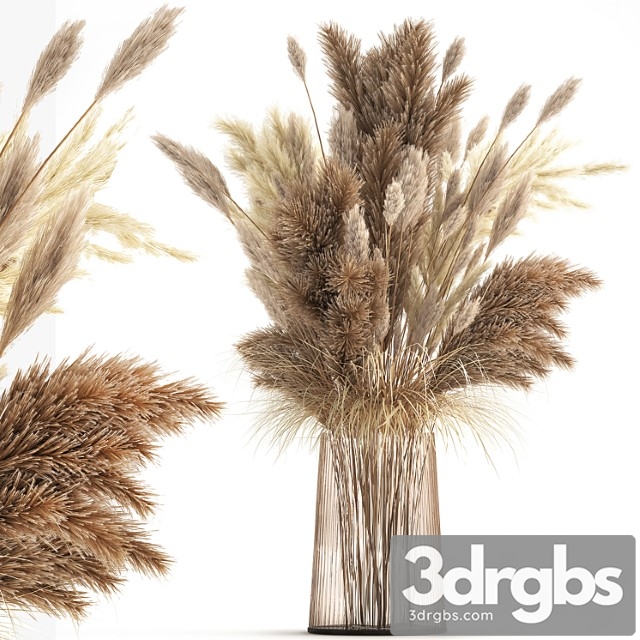 Beautiful lush Bouquet of Dried Flowers in A Vase With Dry Branches of Pampas Cortaderia White Reeds 146