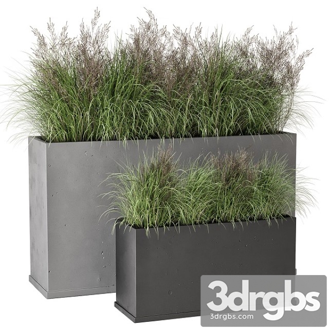 Outdoor Plants Bush in Rusty Concrete Pot Set 565