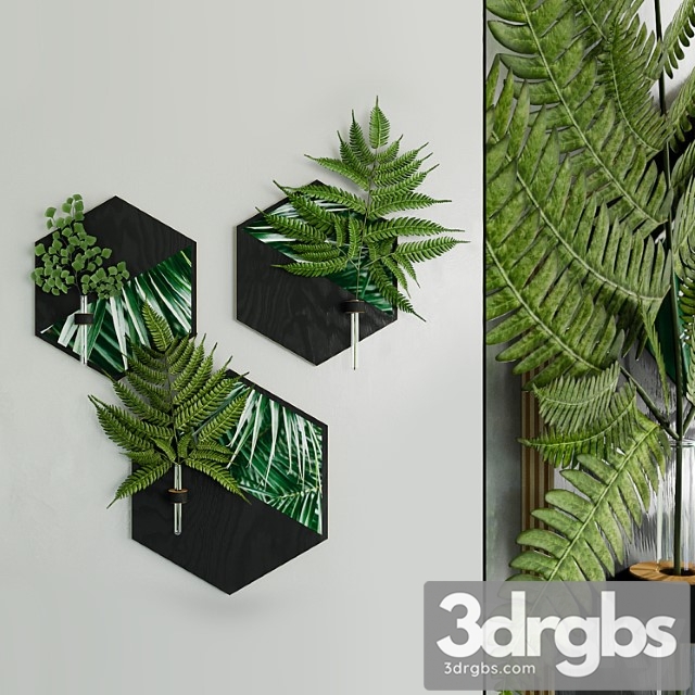 Hexagon plant hanger with fern sprigs by woodahome