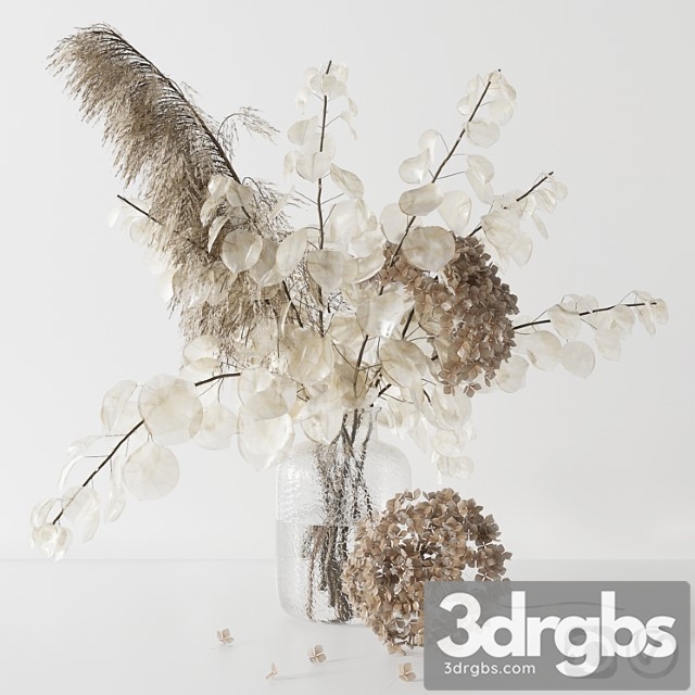 Bouquet with lunaria, pampas grass and hydragea