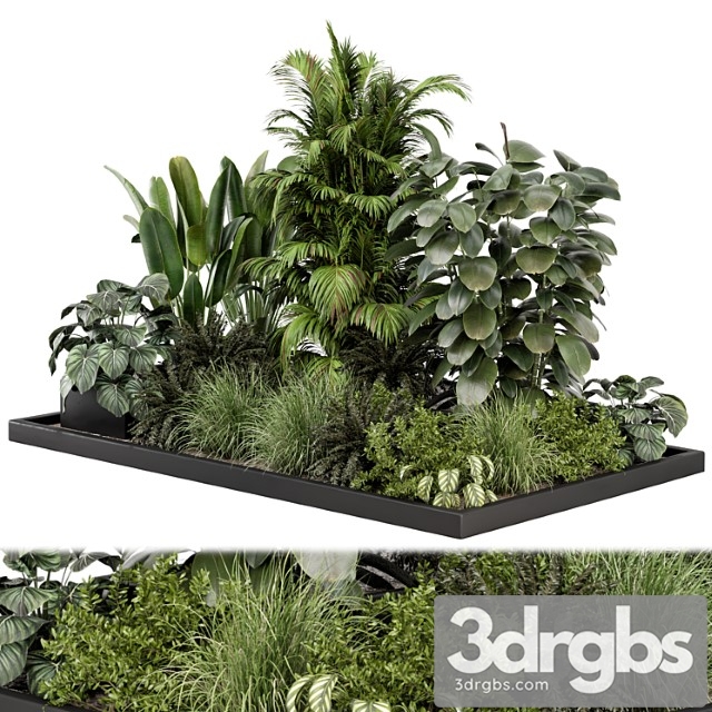 Outdoor Garden Set Bush And Tree Garden Set 1030