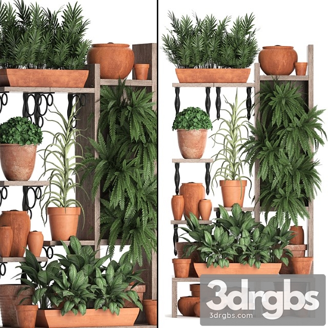 Plant collection 366. plant shelf, fern, flowerpot, greenery, vertical garden, clay pot, aloe, clinker, vertical garden, phytowall