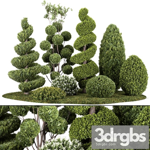 Group Outdoor Plants Hedges