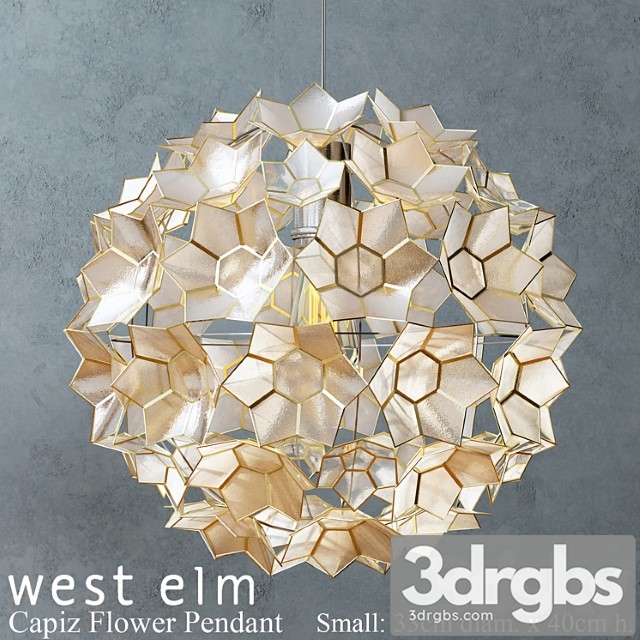 West Elm Capiz Flower Pendant