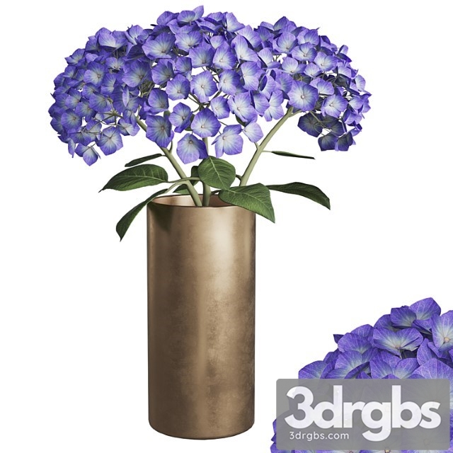 Hydrangea Branches In a Vase 02