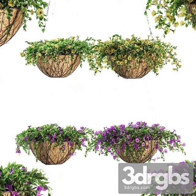 Flower Hanging Basket