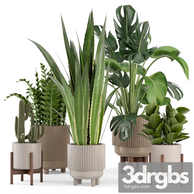 Indoor plants in standing legs small bowl concrete pot - set 245