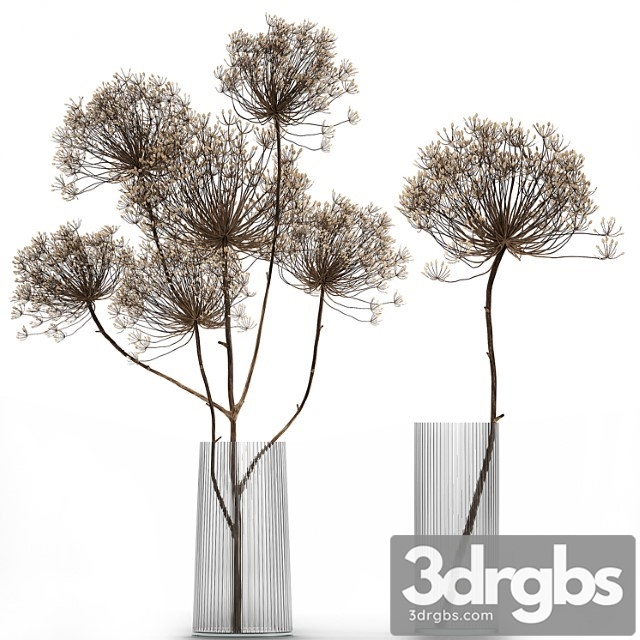 Bouquet Of Dried Flowers In A Glass Vase With Dry Branches Hogweed 158