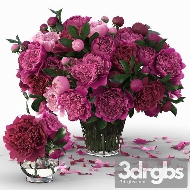 Peonies Purple Bouquet