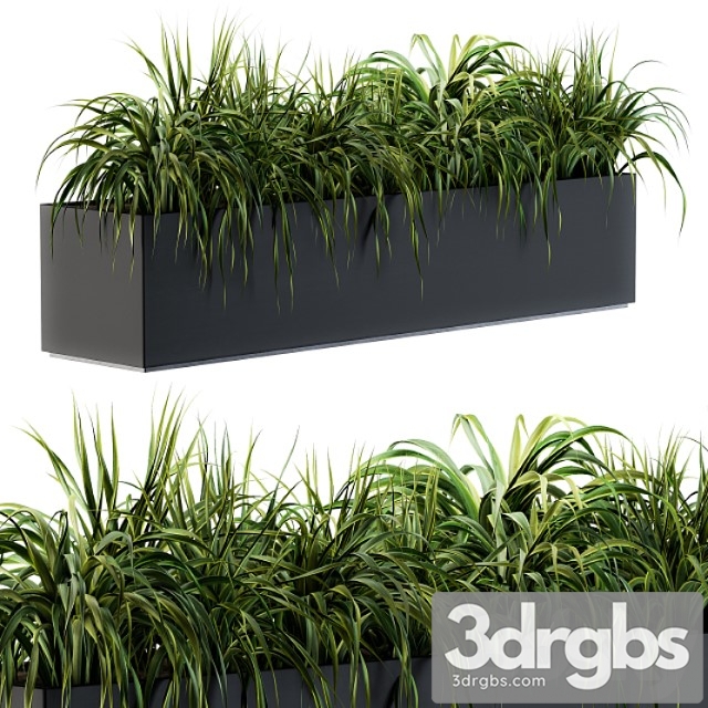 Ranch Grass Plants in Box Outdoor Set 63