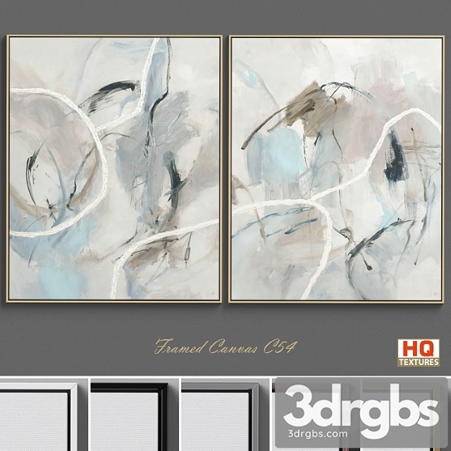 Framed canvas c-54