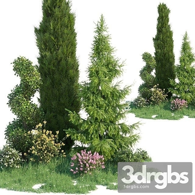 Green Coniferous Tree Set