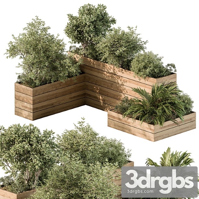 Plant box - outdoor plants 487