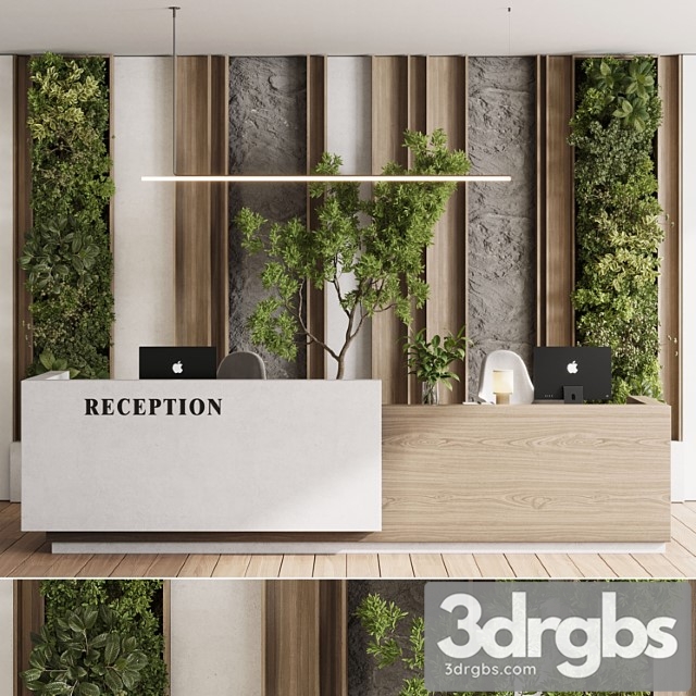 Reception Desk and Wall Decor Office Furniture 22 Corona