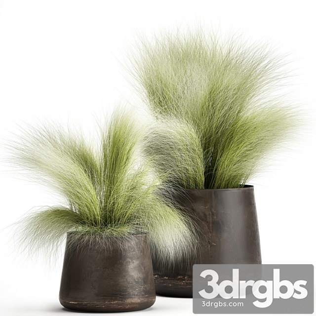 Collection of plants of fluffy bushes in outdoor pots grass grass, hummock. set 908.