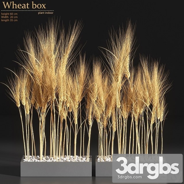 Wheat Box