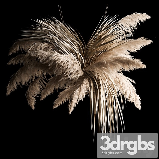 Hanging bouquet of dry reeds and pampas grass for decoration and interior. 266.