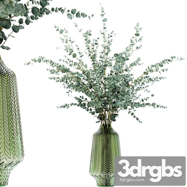 Eucalyptus branches in a green vase