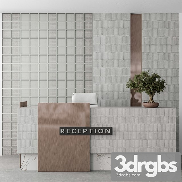 Reception desk and wall decoration - office set 306 2