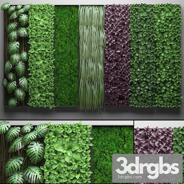 Vertical garden 21.seven separate modules, phytowall, phytomodule, wall decor, landscaping