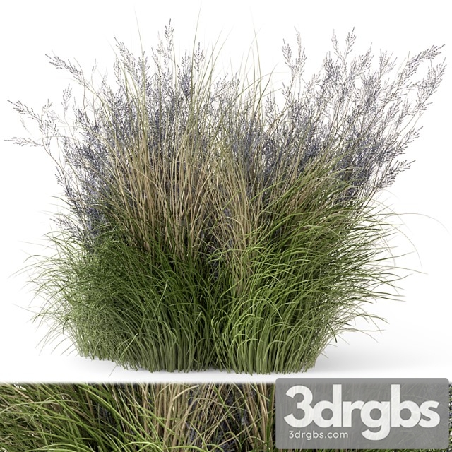 Outdoor plants bush-bush set 660