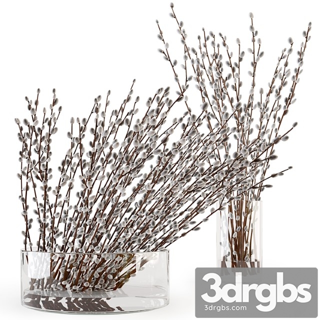 Branches in a Vase 006