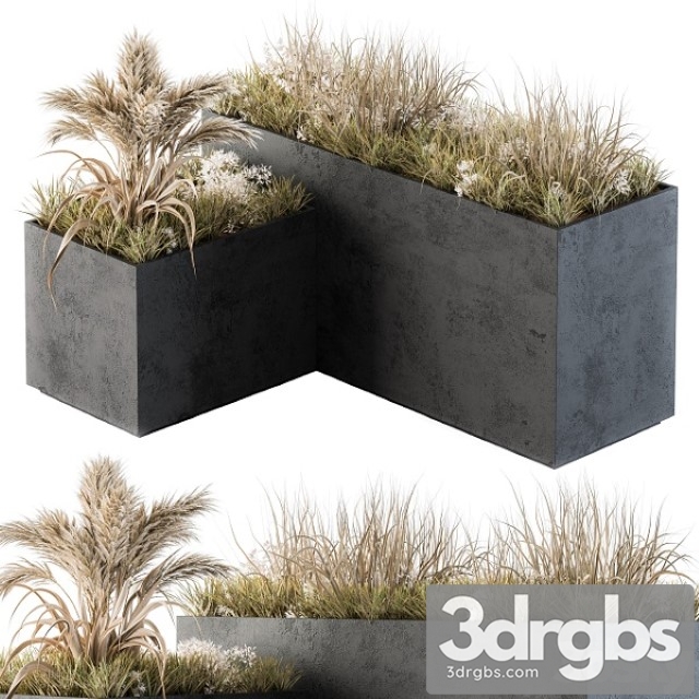 Outdoor Concrete Plant Box With Cereals and Dried Plants