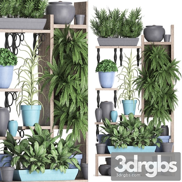 Plant collection 367. shelf with plants, fern, flowerpot, greenery, vertical garden, phytowall, phytomodule, pots, eco design