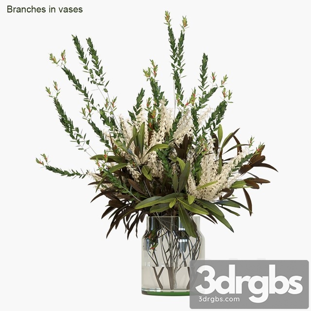 Branches in Vases 3