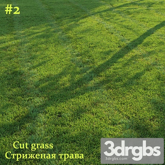 Cut grass 