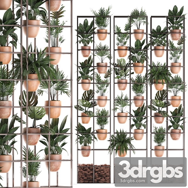 Shelf with flowers in clay pots vertical garden with fern, palm, monstera, ficus, shelving. set of 30.